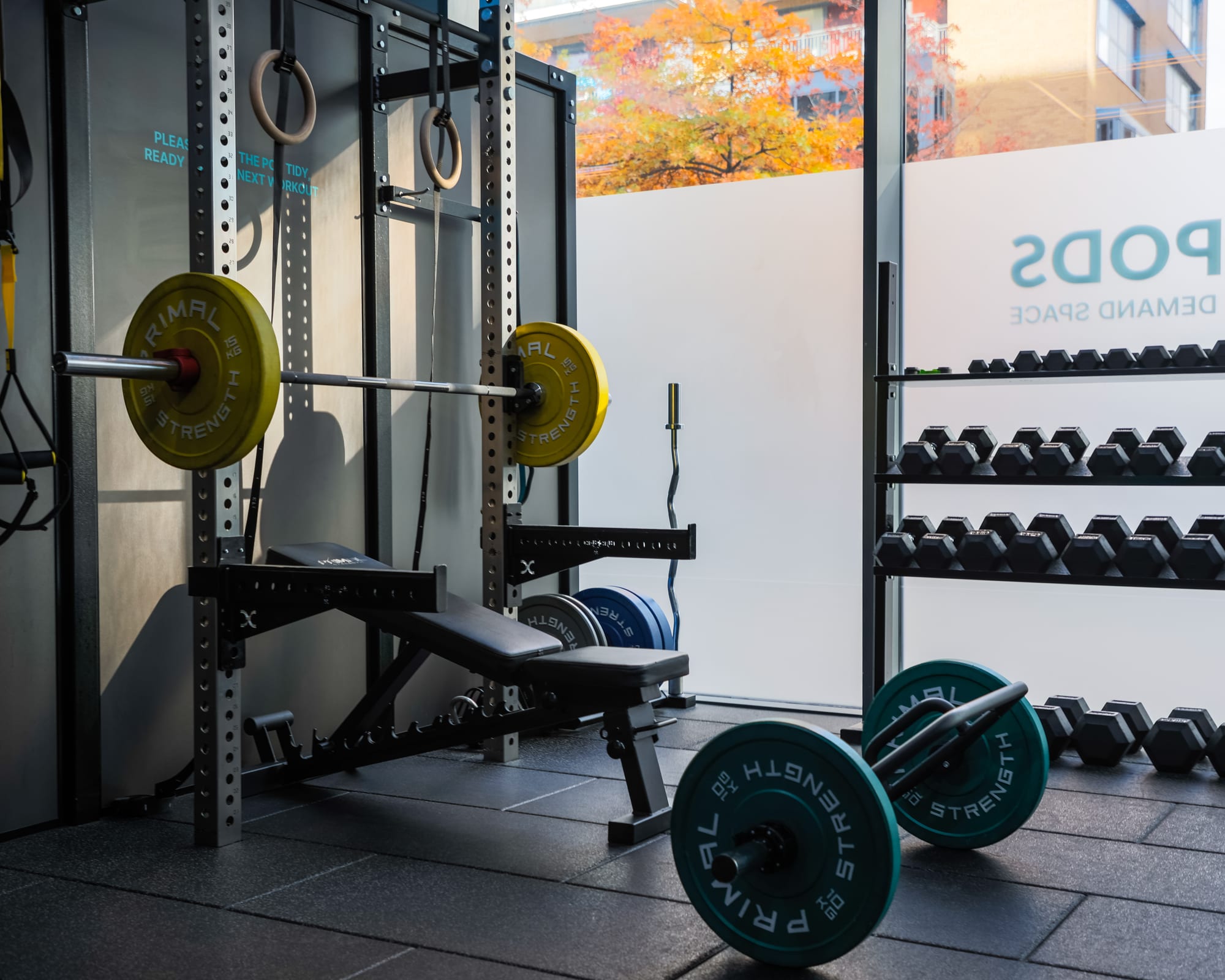 Strength POD at GYMPODS Dalston with half rack and dumbbells